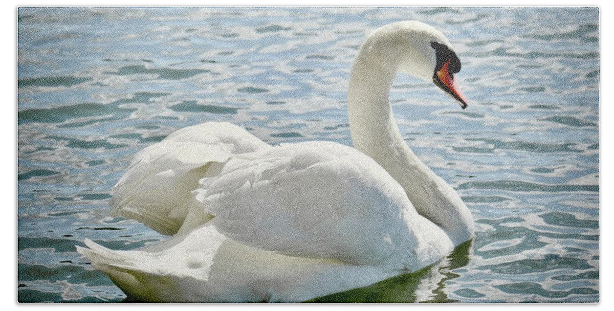 Mute Swan Hand Towel featuring the photograph I'm Watching You #2 by Carol Bradley