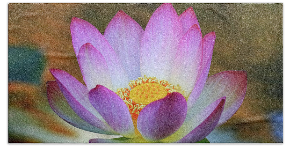 Lotus Bath Towel featuring the photograph Lotus Flower #2 by Shixing Wen