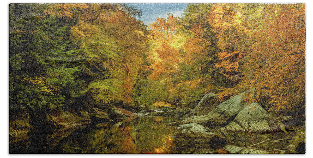 Mill Hand Towel featuring the photograph McConnell's Mill State Park #2 by Skip Tribby