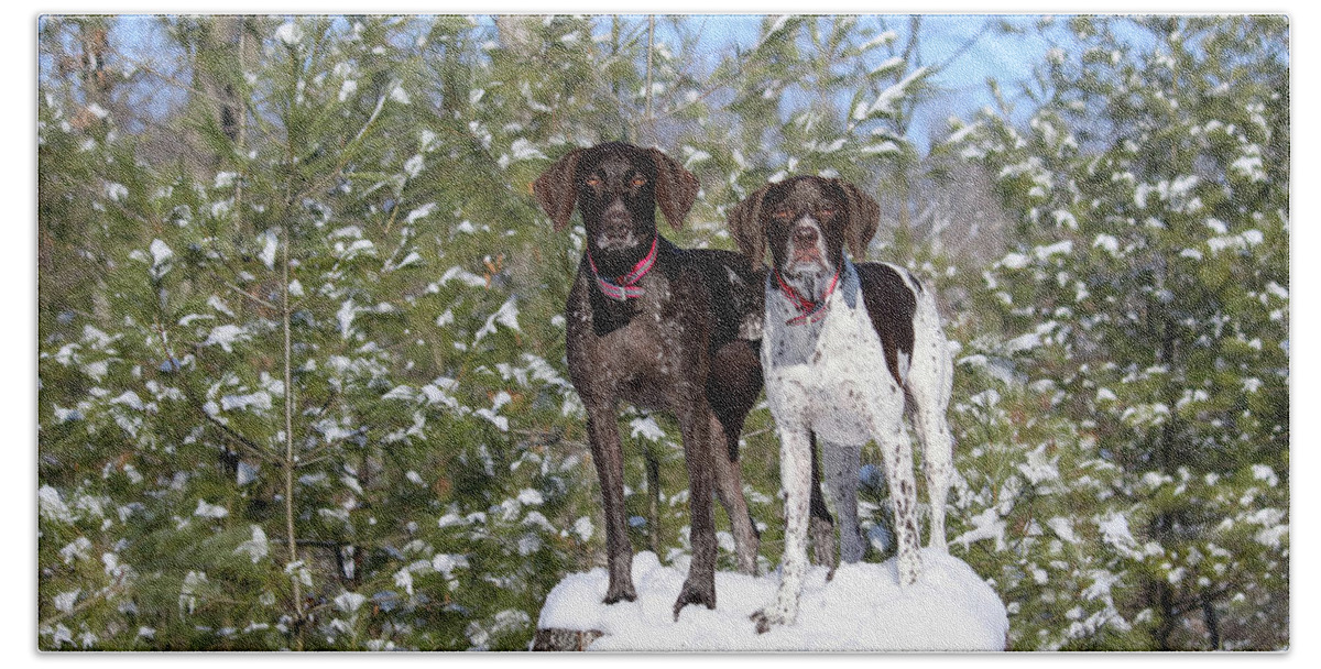 German Shorthaired Pointers Bath Towel featuring the photograph My Girls by Brook Burling