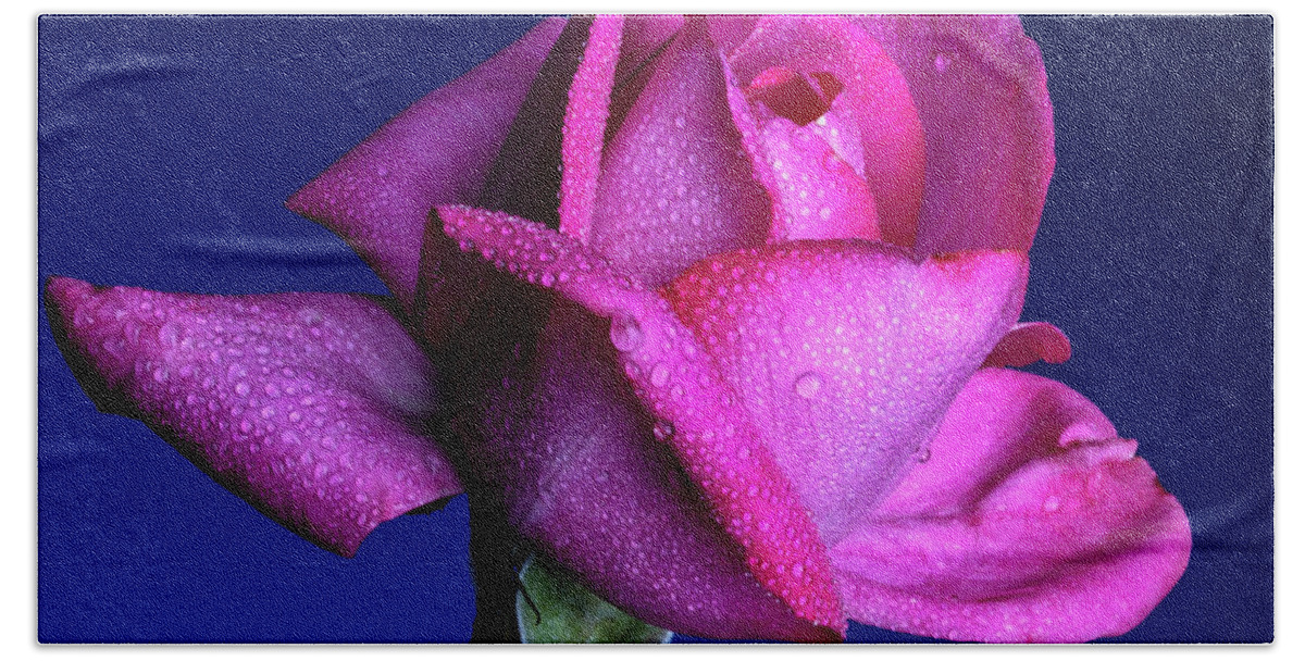 Rose Hand Towel featuring the photograph Profusion #2 by Doug Norkum