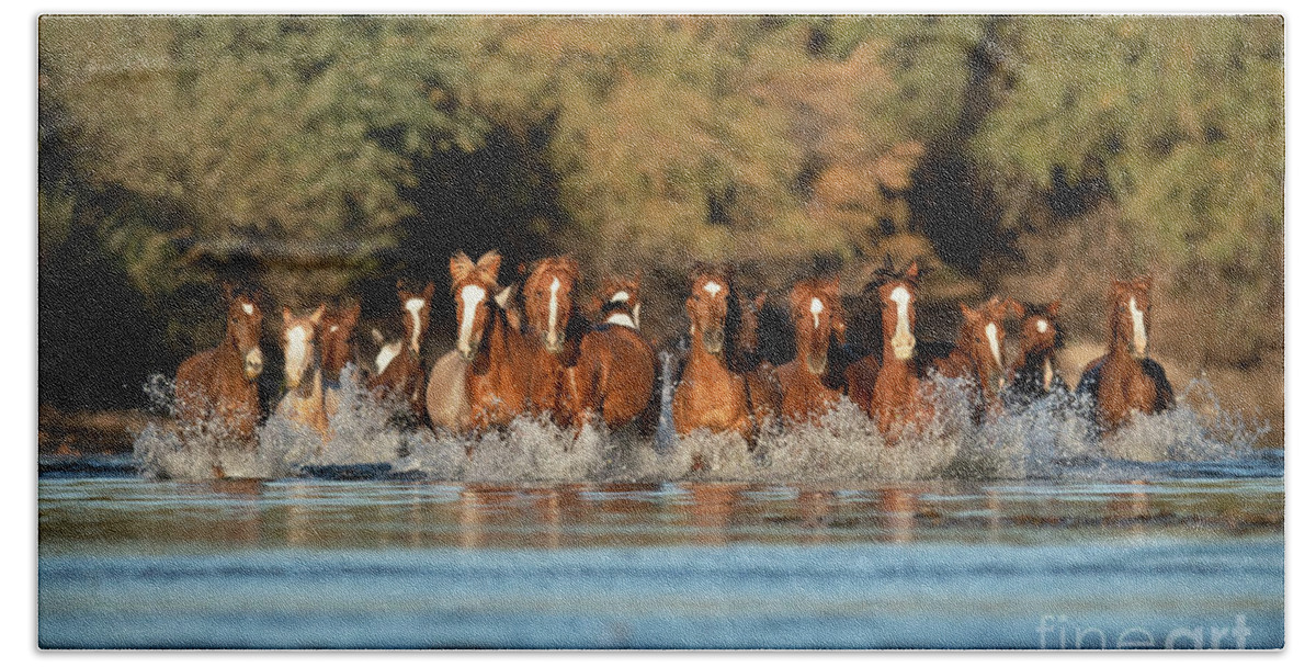 Salt River Wild Horses Bath Towel featuring the photograph Running Free #2 by Shannon Hastings