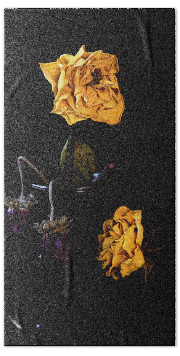 Wither Bath Towel featuring the photograph Wilted and dry yellow rose flower on a vase on a black background. #2 by Michalakis Ppalis