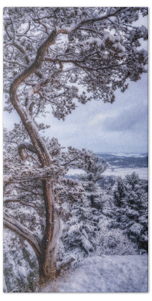 Snow Bath Towel featuring the photograph Winter Wonderland #2 by Brad Bellisle