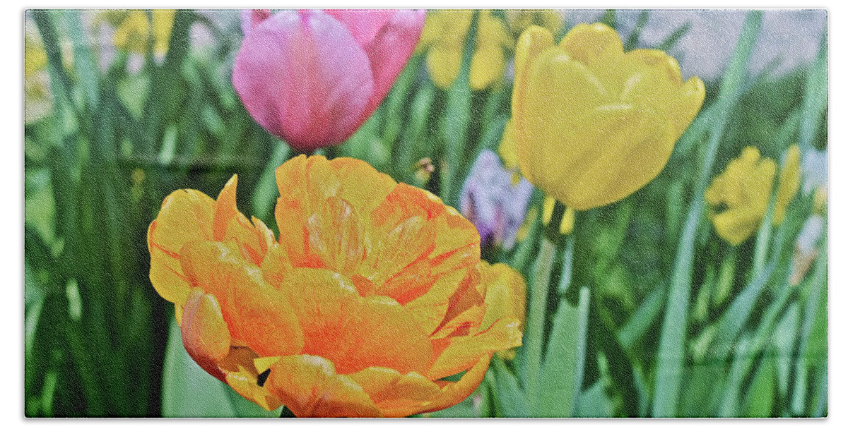 Tulips Bath Towel featuring the photograph 2020 Acewood Tulips Front Lawn by Janis Senungetuk