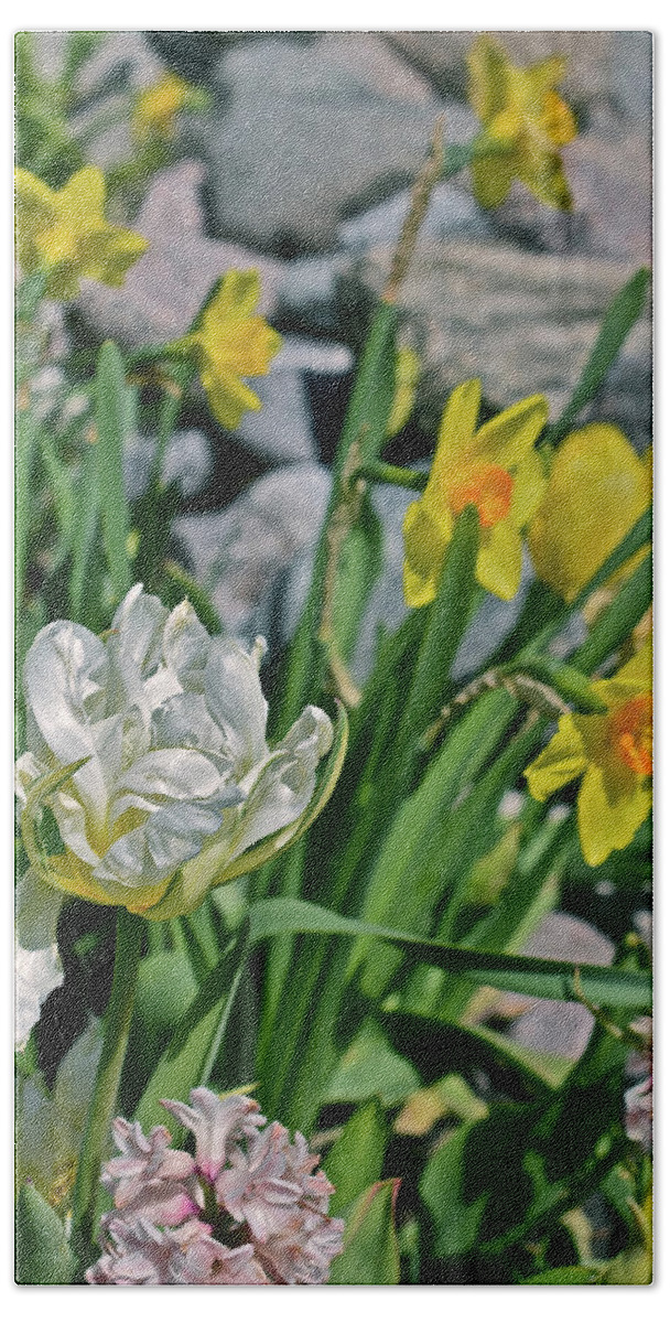 Tulips Bath Towel featuring the photograph 2020 Acewood Tulips, Hyacinth and Daffodils by Janis Senungetuk