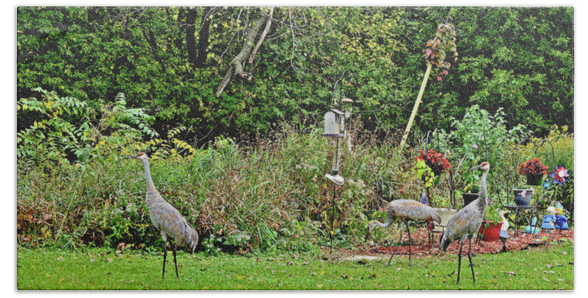 Sandhill Cranes; Backyard; Birds; Bath Towel featuring the photograph 2021 Fall Sandhill Cranes 2 by Janis Senungetuk