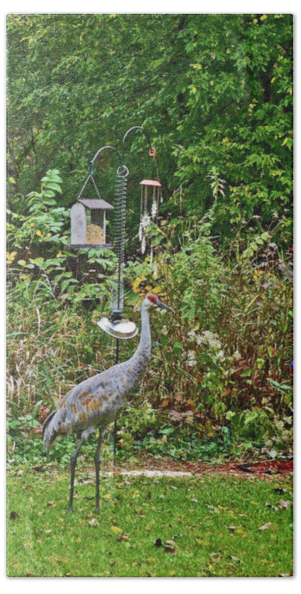 Sandhill Cranes; Backyard; Birds; Bath Towel featuring the photograph 2021 Fall Sandhill Cranes 7 by Janis Senungetuk