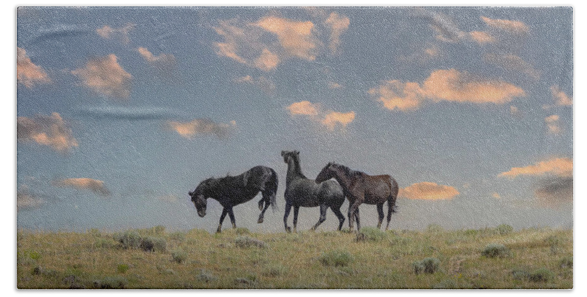 Horse Hand Towel featuring the photograph Wild Horses #29 by Laura Terriere