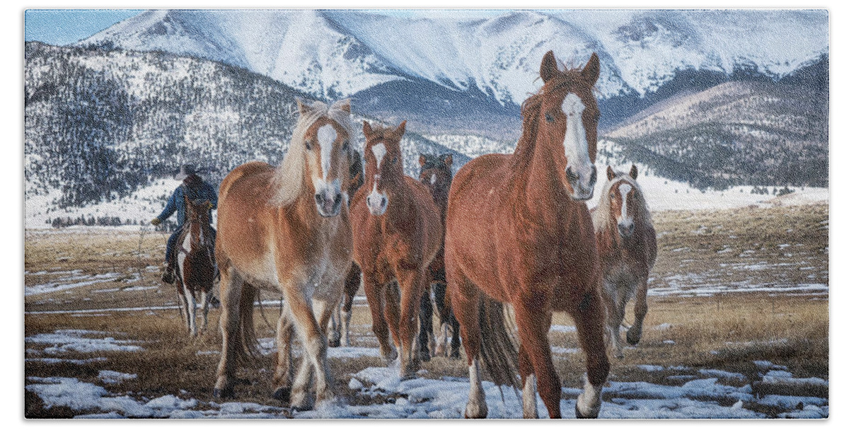 Horses Bath Towel featuring the photograph Colorado Horses #3 by David Soldano
