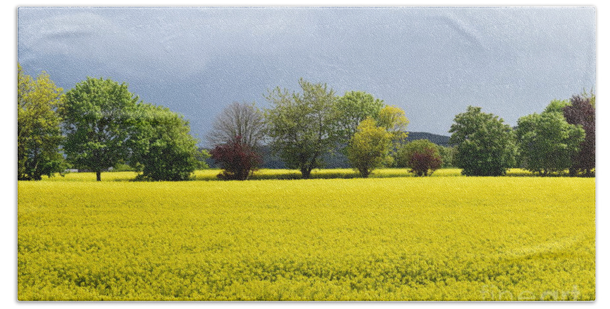 Rapeseed Bath Towel featuring the photograph Fields of gold #3 by Joe Cashin