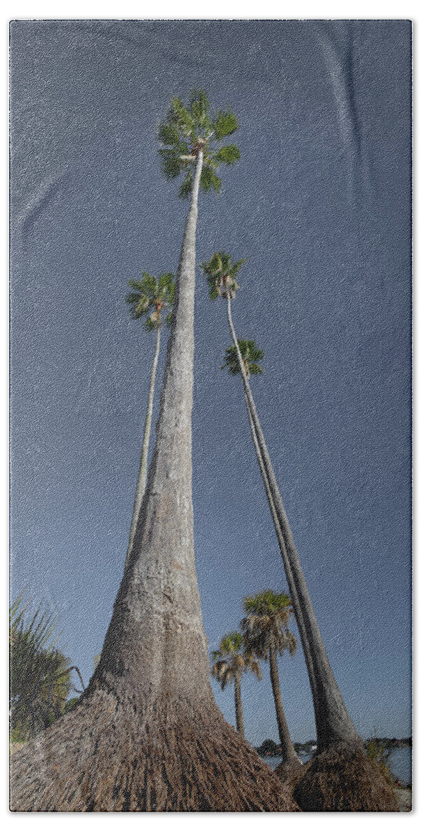  Bath Towel featuring the photograph Florida #3 by Lars Mikkelsen