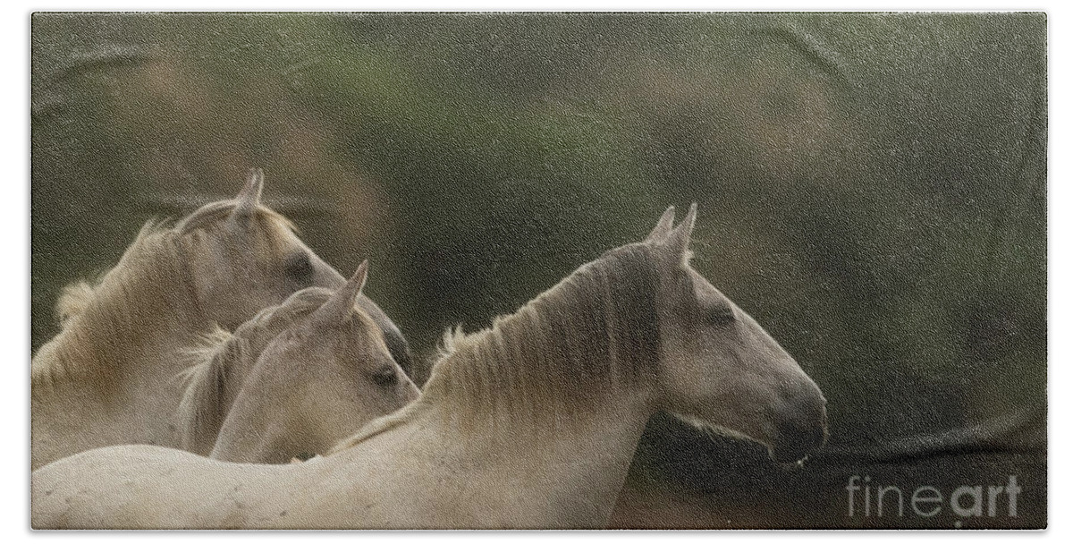 Salt River Wild Horses Bath Towel featuring the photograph 3 by Shannon Hastings