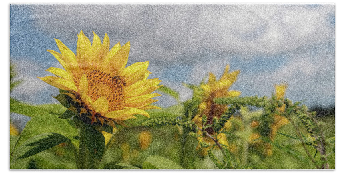 Sunflower Hand Towel featuring the photograph Sunflower with Honeybee #2 by Carolyn Hutchins