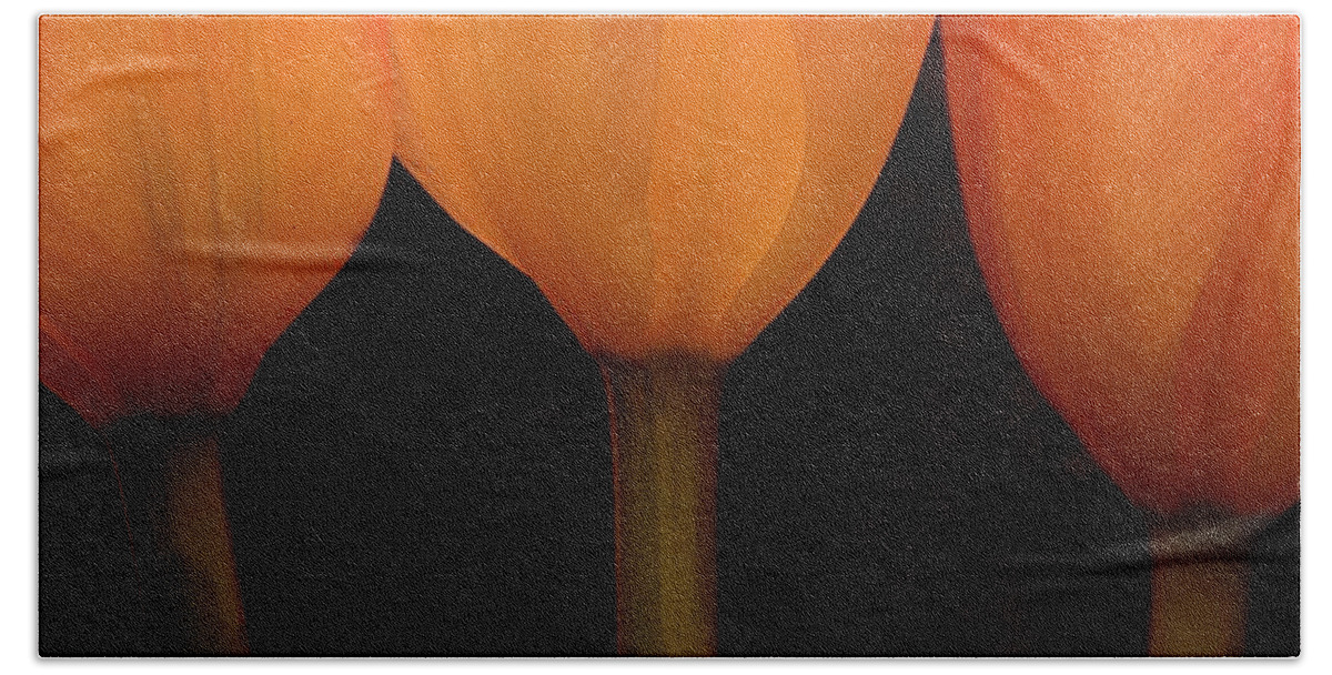 Macro Hand Towel featuring the photograph 3 Tulips by Julie Powell