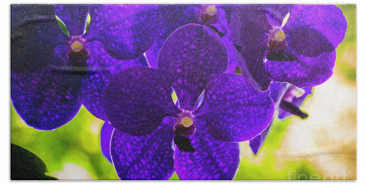 Background Bath Towel featuring the photograph Purple Orchid Flowers #34 by Raul Rodriguez