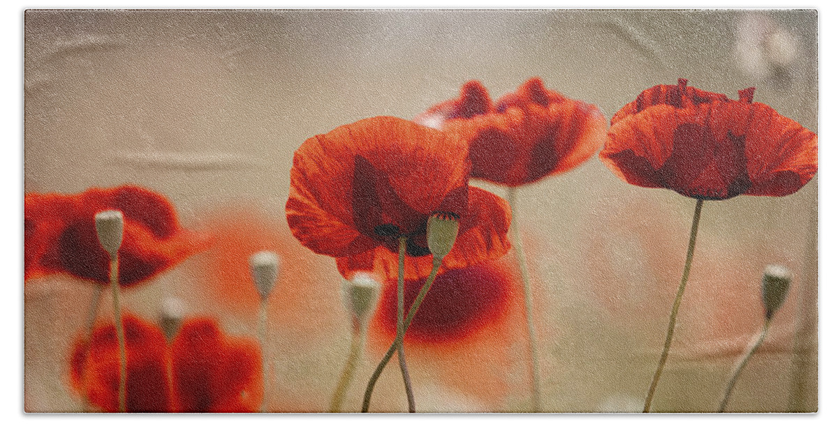 Poppy Bath Towel featuring the photograph Summer Poppy Meadow #35 by Nailia Schwarz