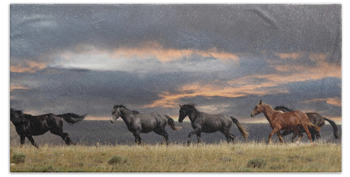 Horse Hand Towel featuring the photograph Wyoming Wild by Laura Terriere