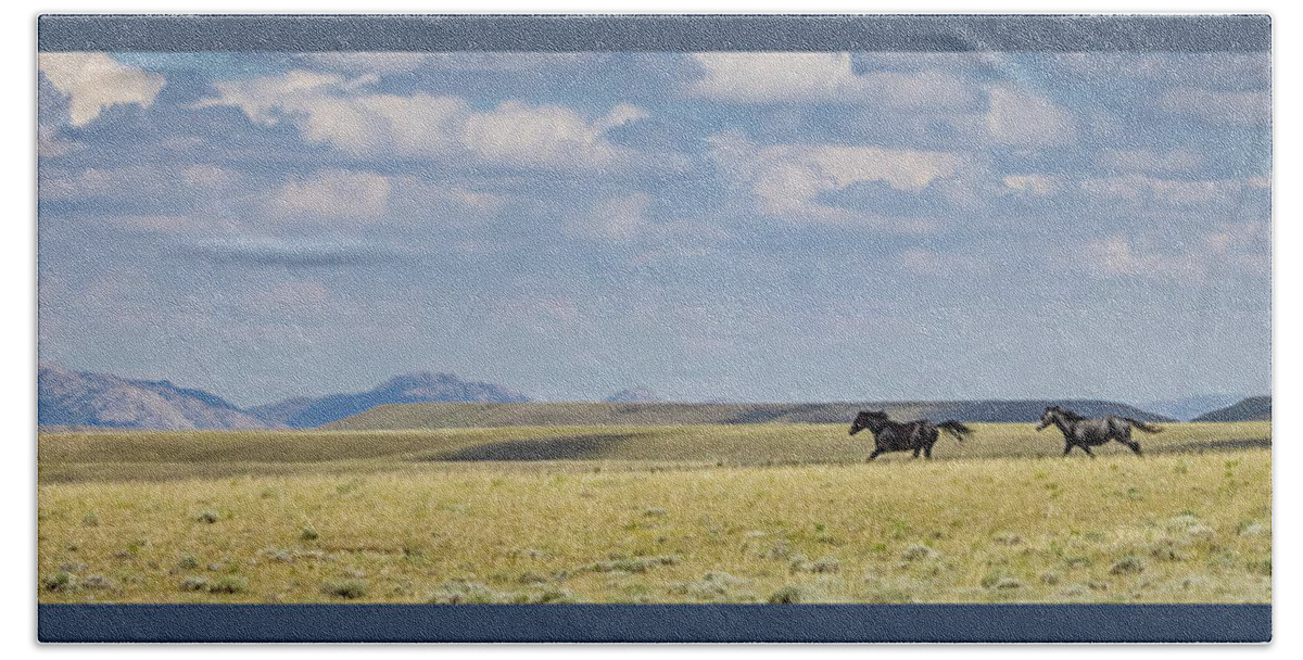 Horse Hand Towel featuring the photograph Wild Horses #37 by Laura Terriere