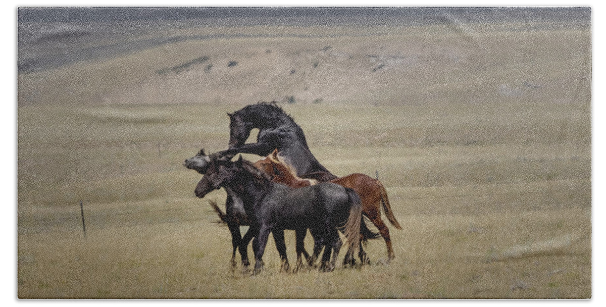 Horse Hand Towel featuring the photograph Wild Horses #39 by Laura Terriere