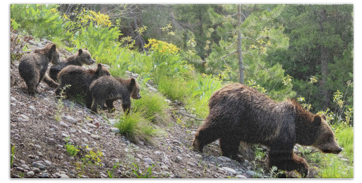 Bear Bath Towel featuring the photograph 4 Cubs with Mama Grizzly Bear #399 by Wesley Aston