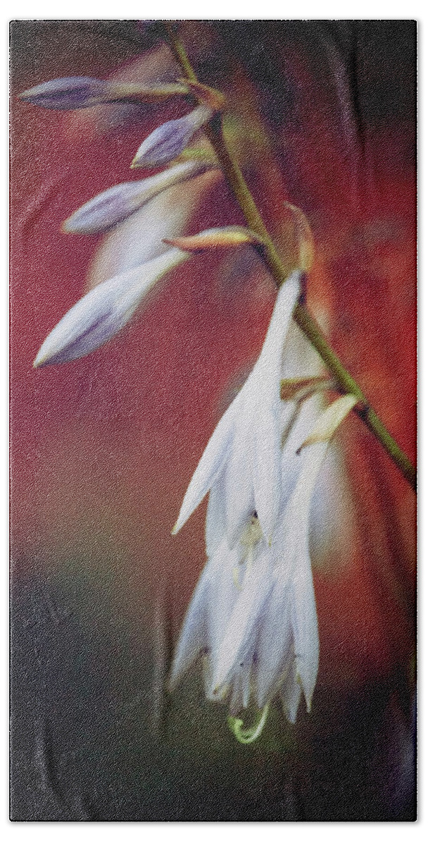 Hosta Bath Towel featuring the photograph Hosta #4 by RicharD Murphy