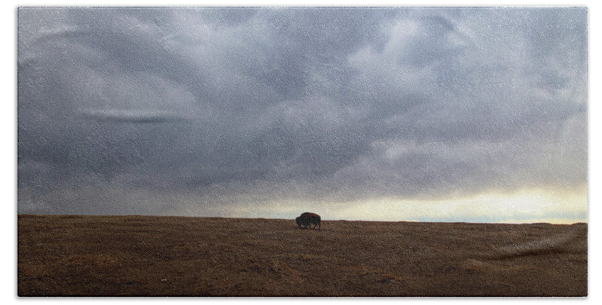 Buffalo Bath Towel featuring the photograph Lone buffalo at Theodore Roosevelt National Park in North Dakota #4 by Eldon McGraw