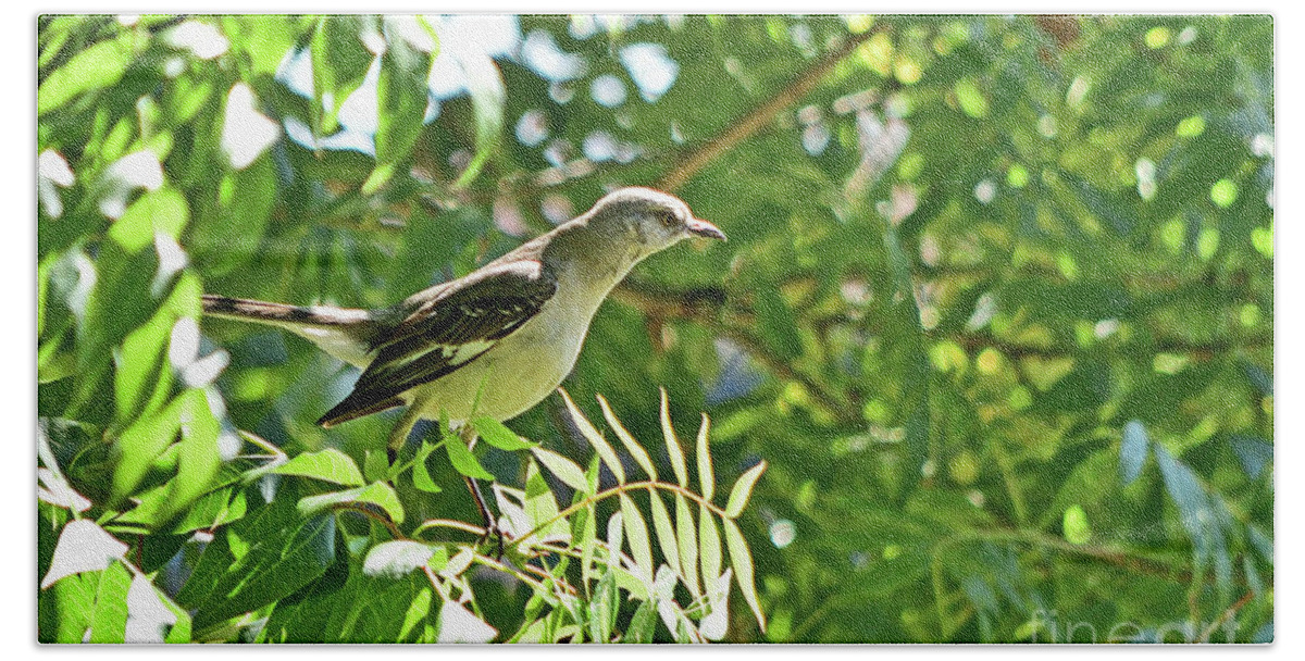 Northern Mockingbird Bath Towel featuring the photograph Northern Mockingbird #4 by Amazing Action Photo Video