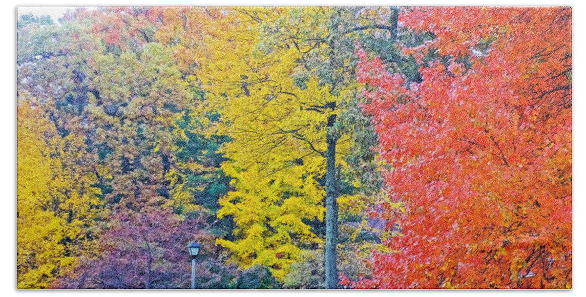 Autumn In Thornapple River Area In Grand Rapids Bath Towel featuring the photograph Autumn in Thornapple River Area in Grand Rapids, Michigan by Ruth Hager