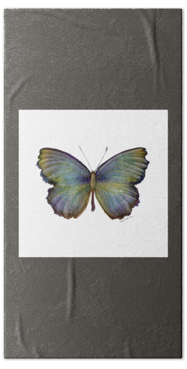 Purple Butterfly Bath Towel featuring the painting 65 Moonglow Butterfly by Amy Kirkpatrick