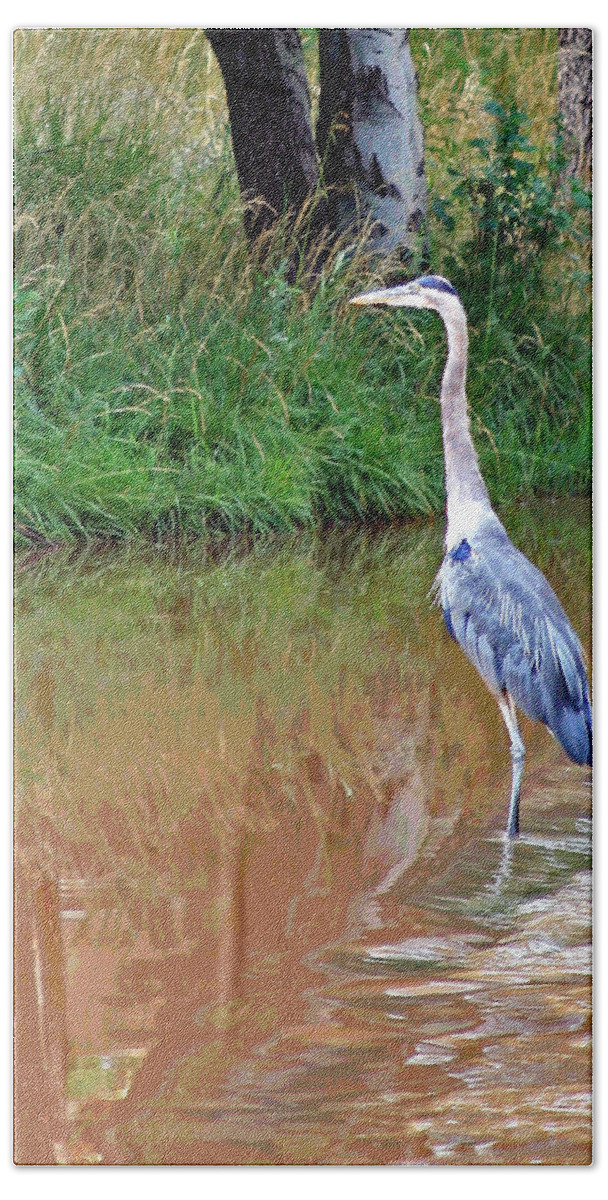 Bird Bath Towel featuring the photograph Blue Heron on the East Verde River by Matalyn Gardner