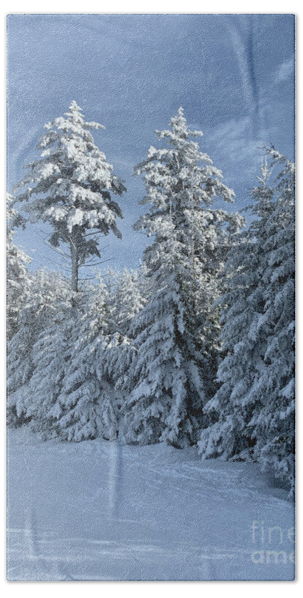  Hand Towel featuring the photograph Winter Wonderland #7 by Annamaria Frost