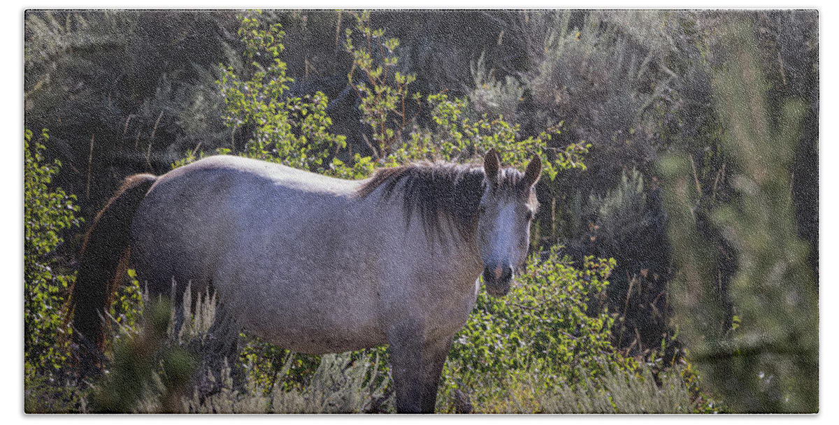 Horse Bath Towel featuring the photograph Wild Horses #8 by Laura Terriere