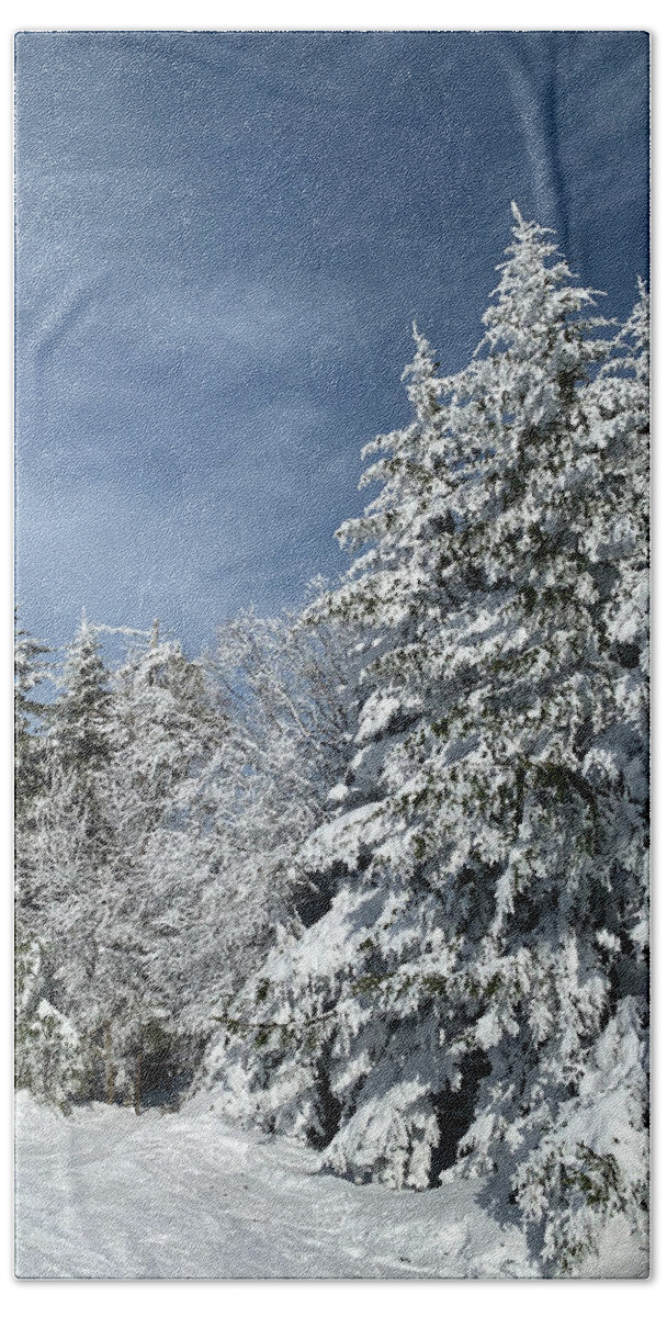  Bath Towel featuring the photograph Winter Wonderland by Annamaria Frost