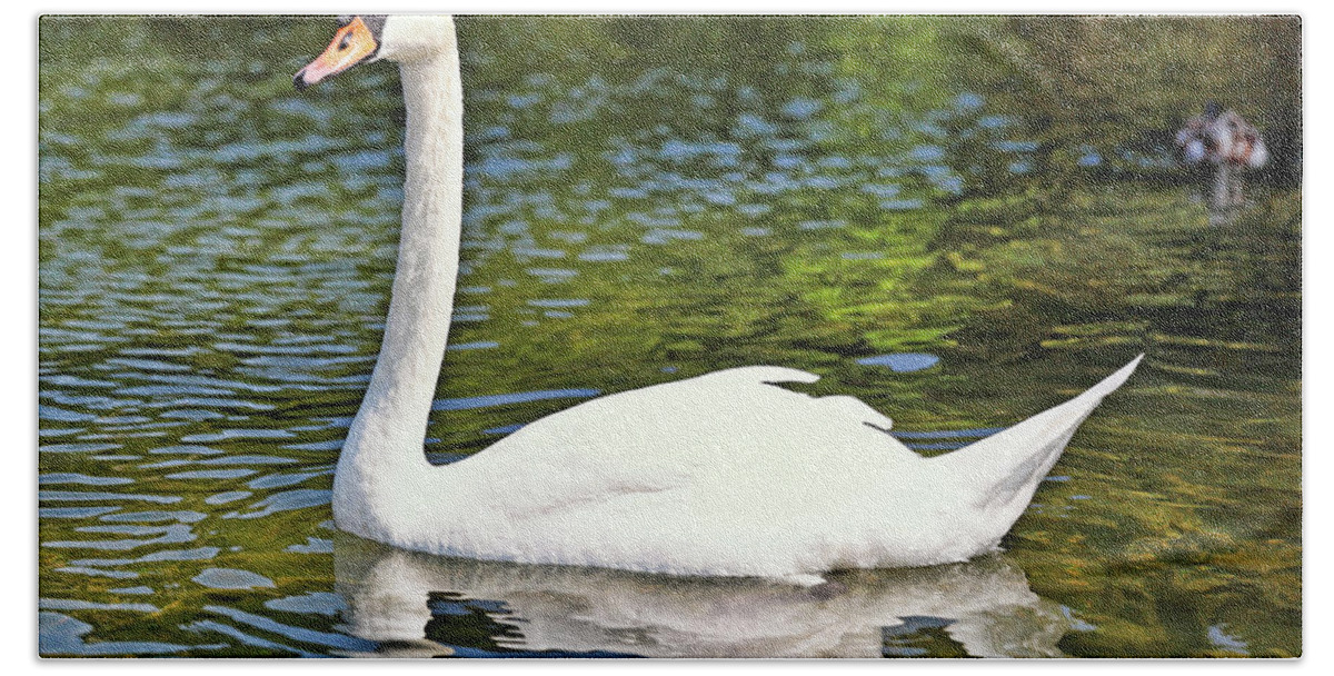 Beautiful Hand Towel featuring the photograph A beautiful swan by Constantinos Iliopoulos