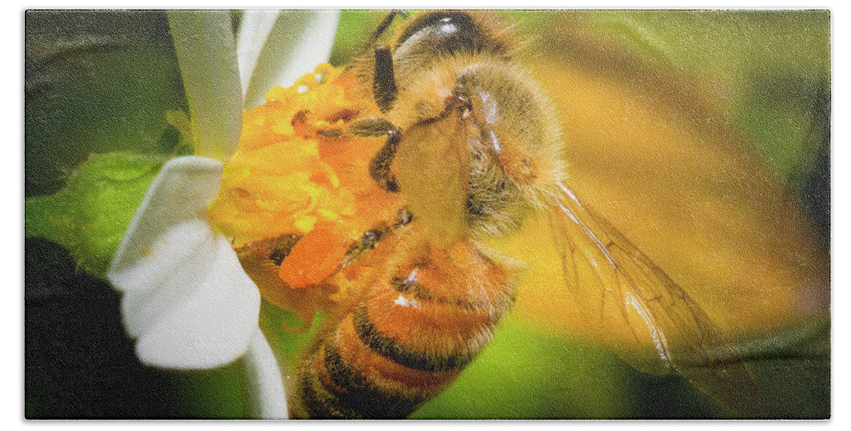 Bee Bath Towel featuring the photograph A Bee in the Garden by Mark Andrew Thomas