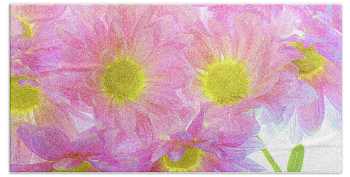 Pink Bath Towel featuring the photograph A Bundle of Pink Mums by Sylvia Goldkranz