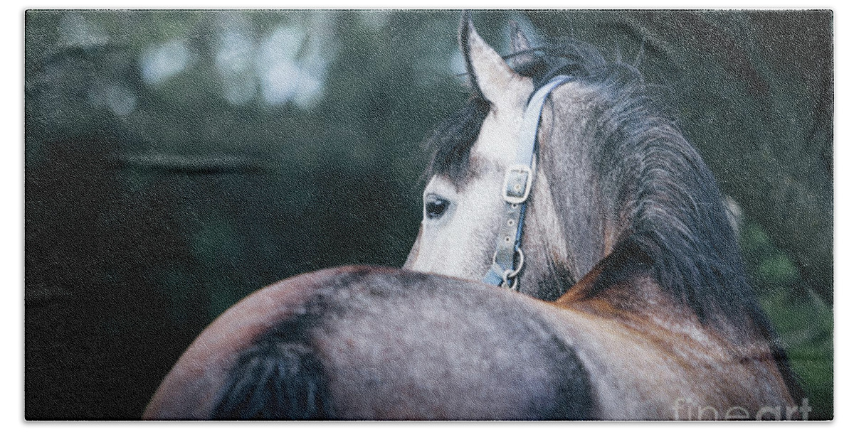 Horse Bath Towel featuring the photograph A close-up portrait of horse profile in nature by Dimitar Hristov