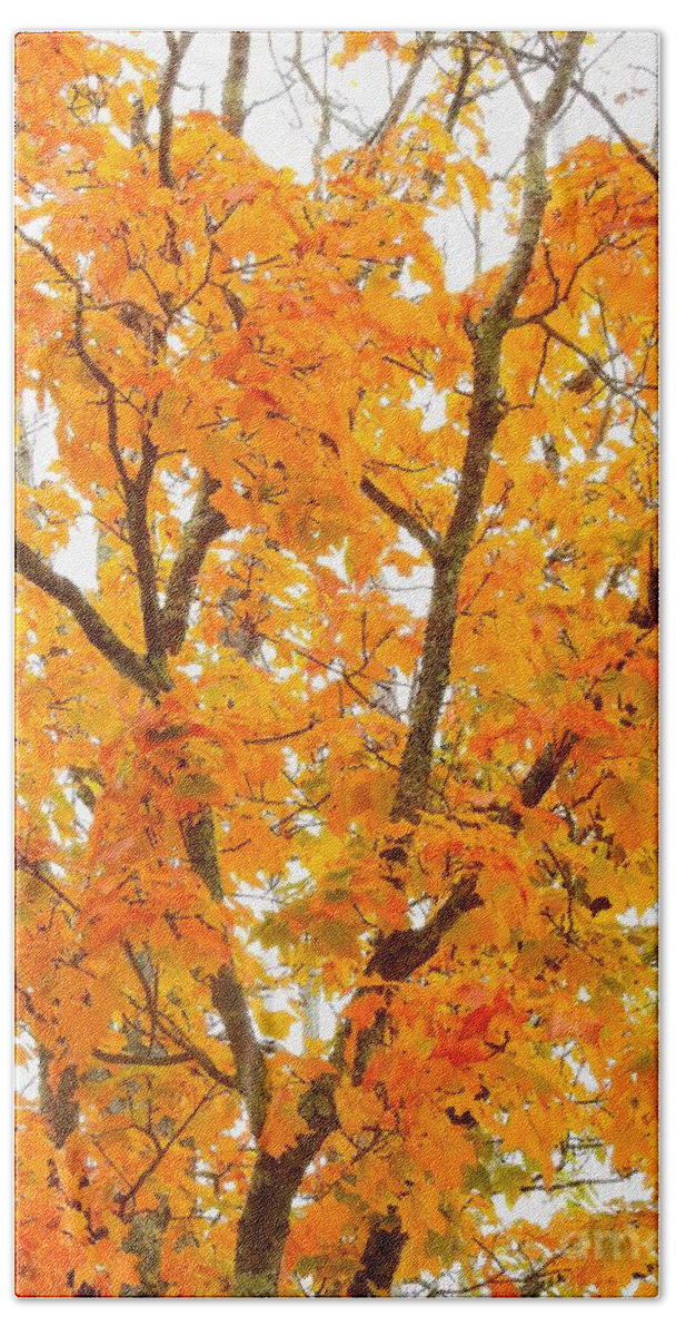 Warm Colors Bath Towel featuring the photograph A Closer Look at Autumn by Eunice Miller