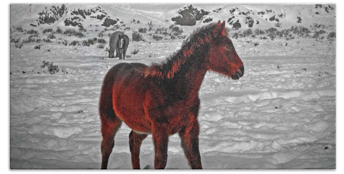 Blurred Bath Towel featuring the digital art A Colts First Winter by Fred Loring