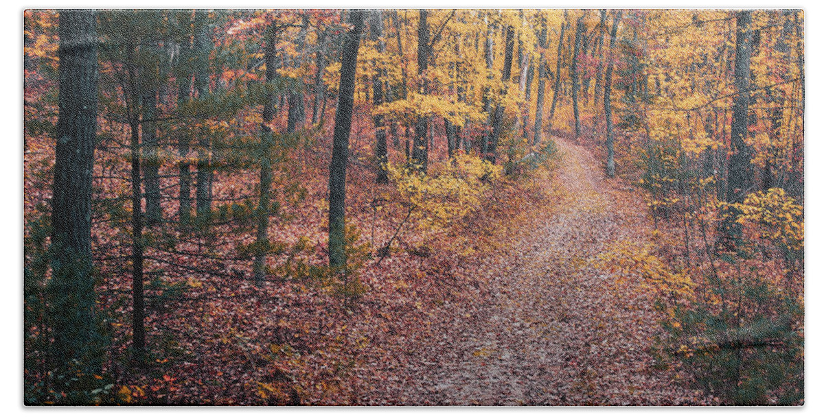 Forest Bath Towel featuring the photograph A Hike in the Black River State Forest by Scott Norris