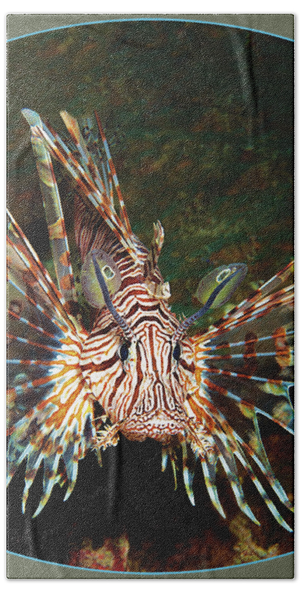 Lionfish Hand Towel featuring the photograph A magnificent lionfish from its most beautiful side - by Ute Niemann