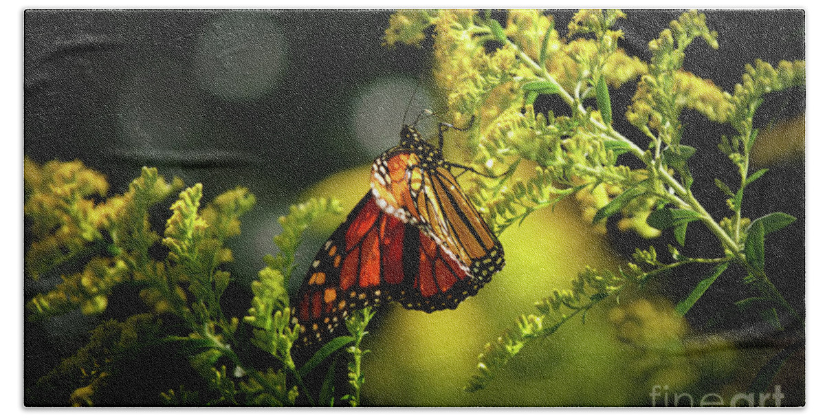 Center Stage Bath Towel featuring the photograph A Monarch Butterfly by Rehna George