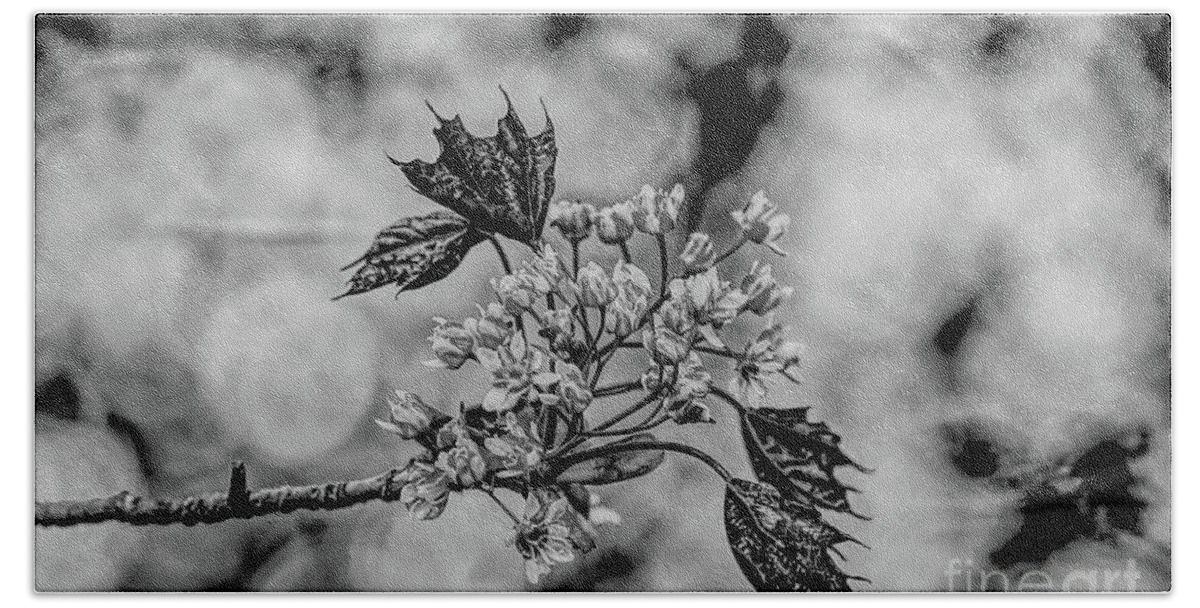 Digital Art Hand Towel featuring the photograph A monochrome Red Maple bloom by Pics By Tony