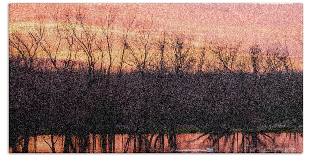 Ducks Bath Towel featuring the photograph A New Day by Cheryl McClure