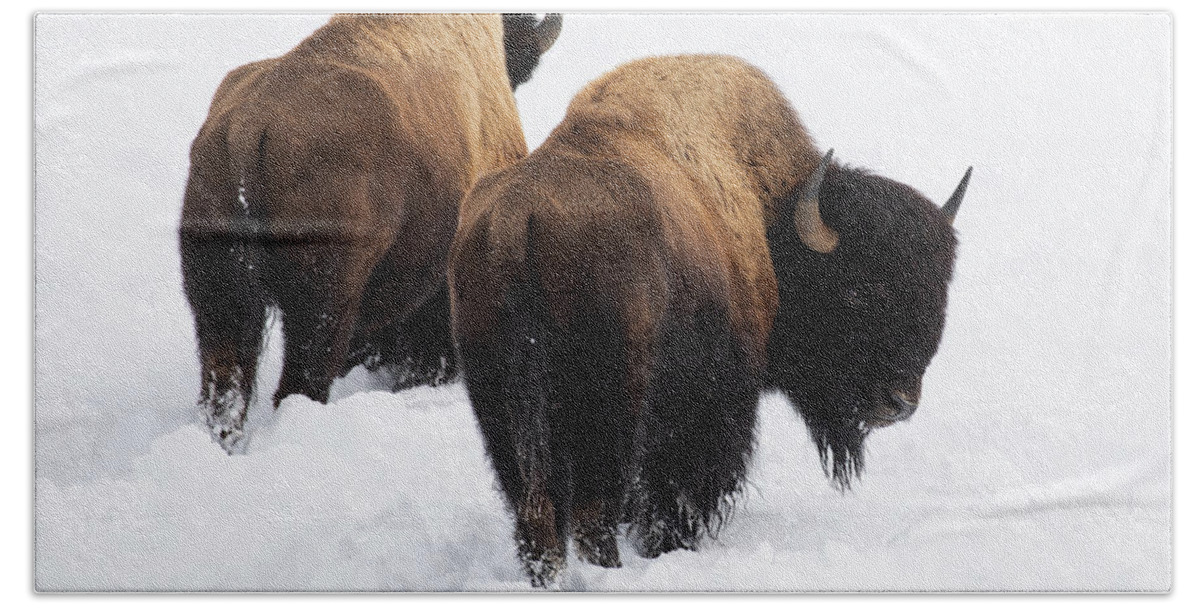 Bison Bath Towel featuring the photograph A Parting Glance by Art Cole