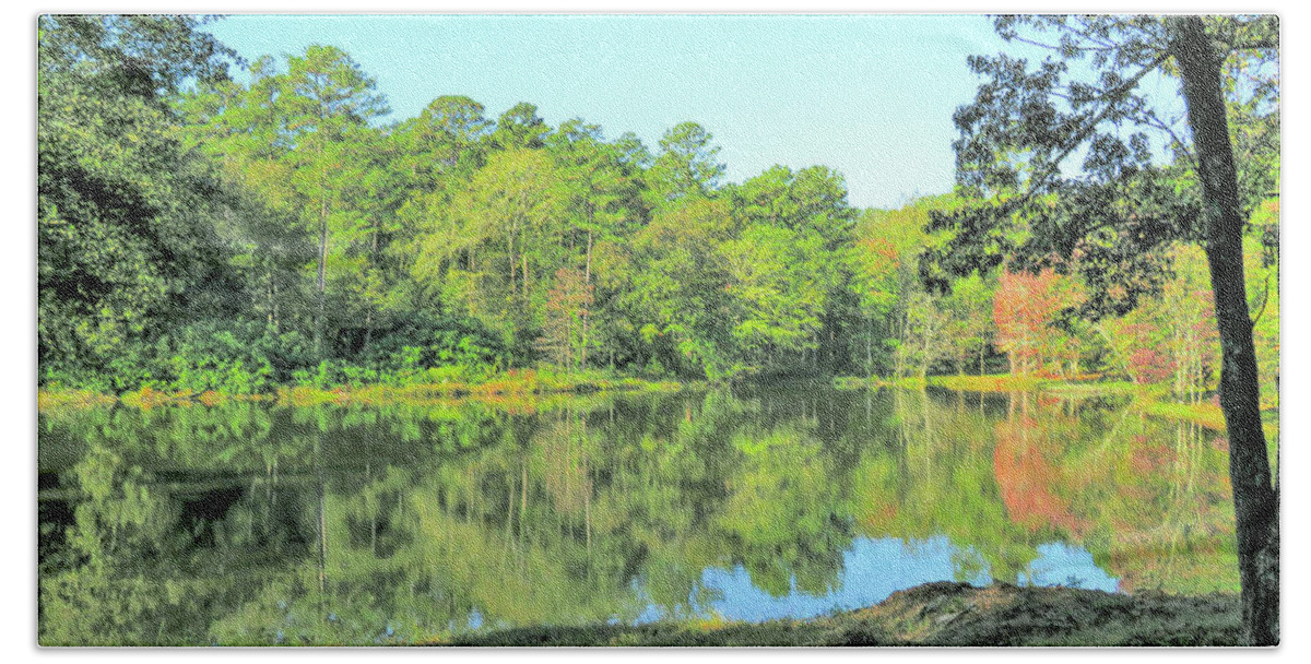 Pond Hand Towel featuring the photograph A Pond Full Of Trees by Ed Williams