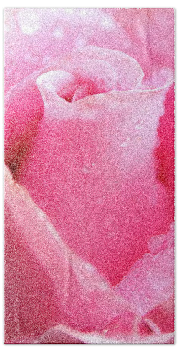 Rose Bath Towel featuring the photograph A Rose Is A Rose by Lens Art Photography By Larry Trager