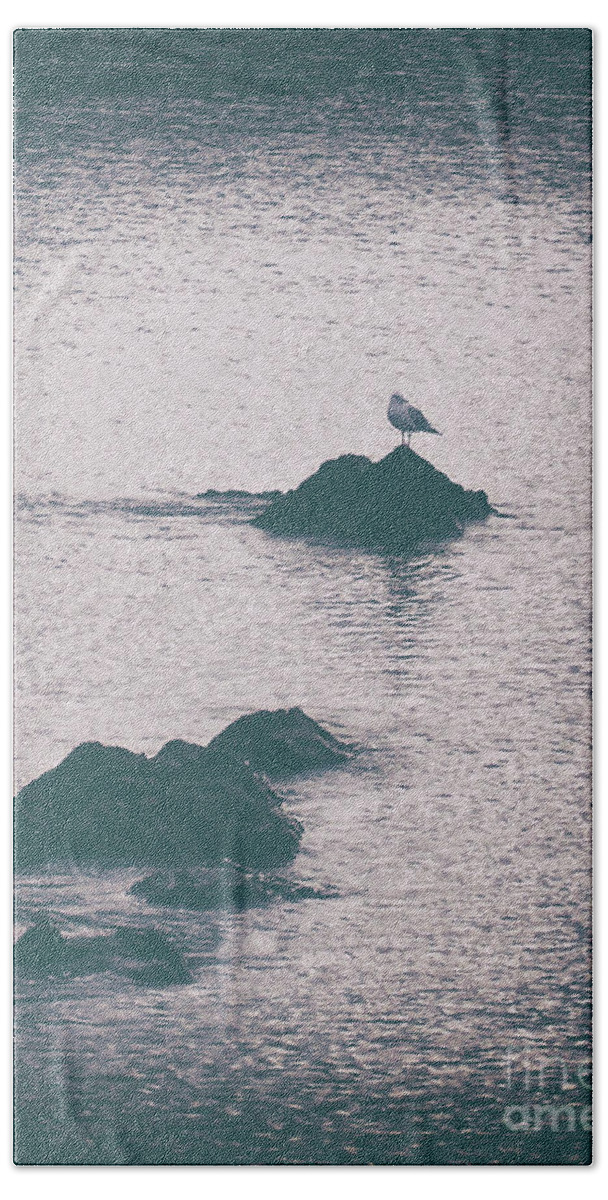 Vintage Bath Towel featuring the photograph A Seagull Rests by Phil Perkins