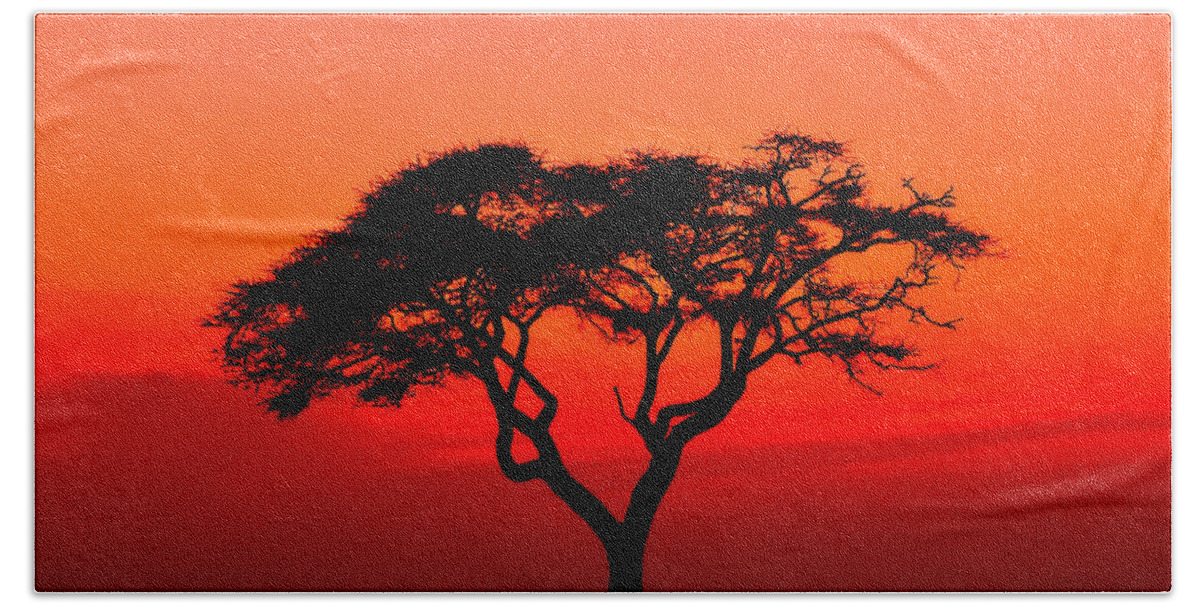 Africa Bath Towel featuring the photograph A Solitary Acacia Tree in the African Sunset by Mitchell R Grosky